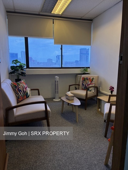 Sim Lim Tower (D8), Office #547374191